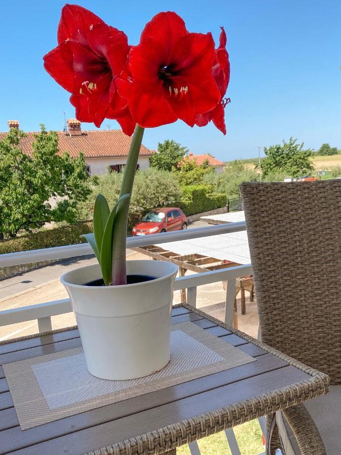 Apartments Roberta Novigrad  Luaran gambar