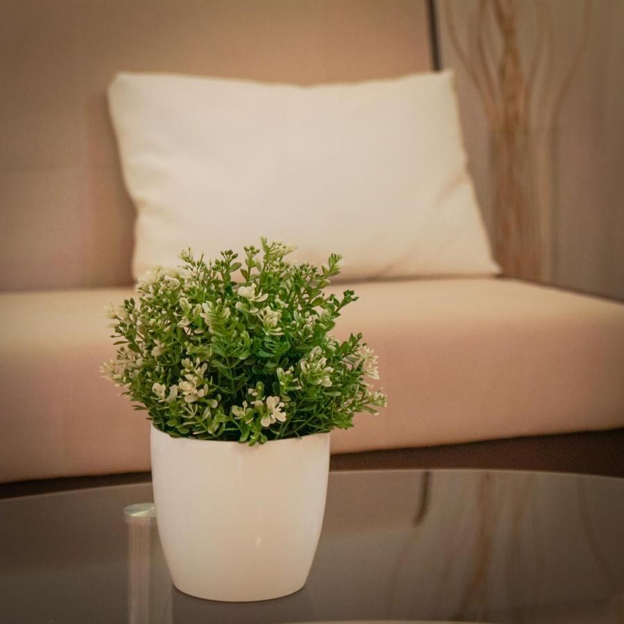 Apartments Roberta Novigrad  Luaran gambar