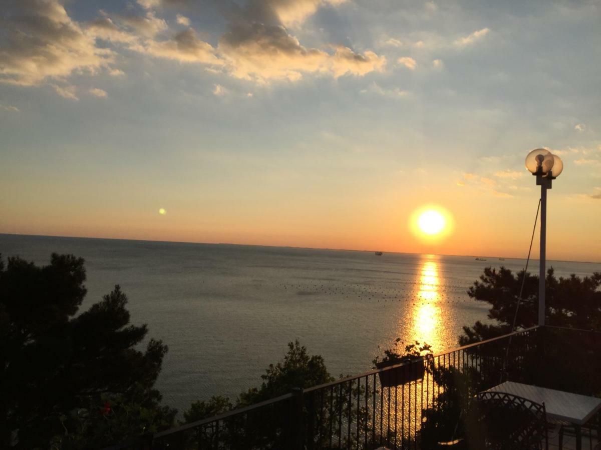 Apartments Roberta Novigrad  Luaran gambar
